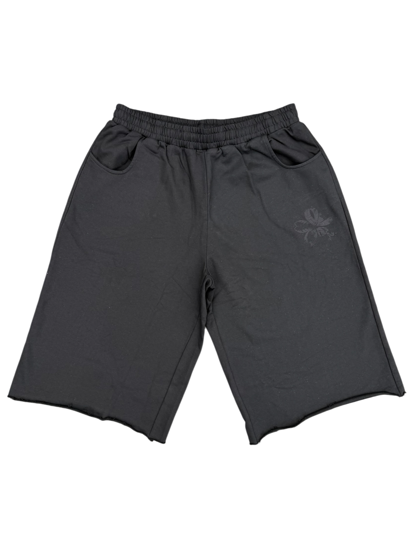 BLSM LONGSHORTS