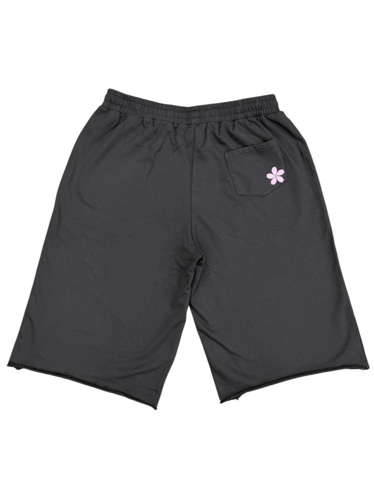 BLSM LONGSHORTS