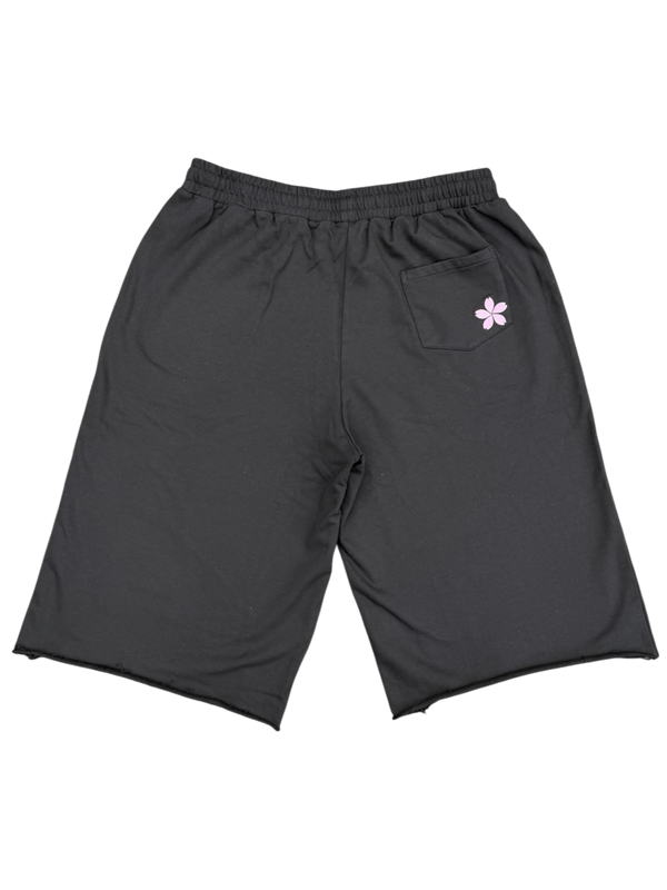 BLSM LONGSHORTS